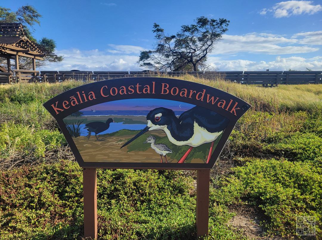 Kealia Coastal Boardwalk-基黑必去景点