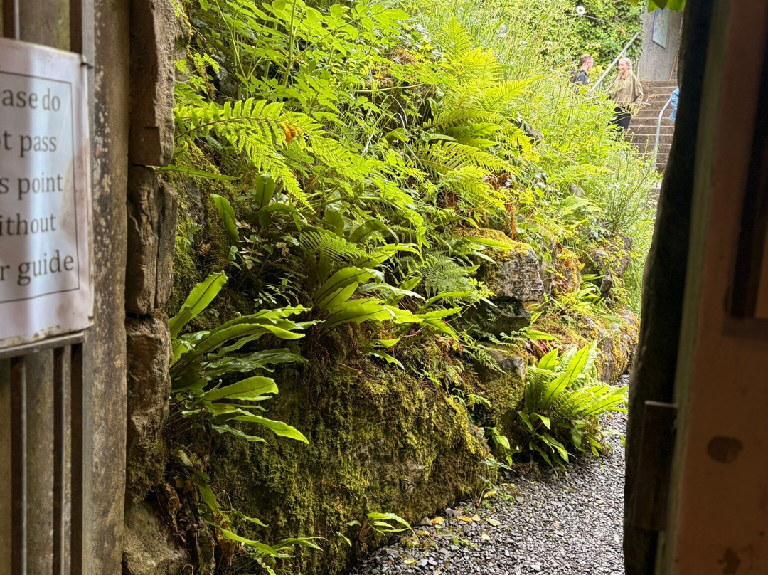 Doolin Cave-杜林必去景点