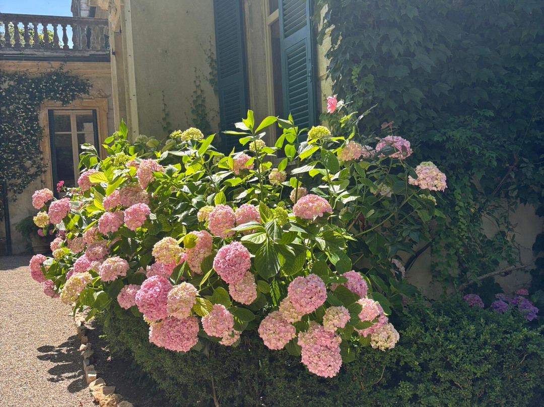 Villa Rezzola-莱里奇必去景点