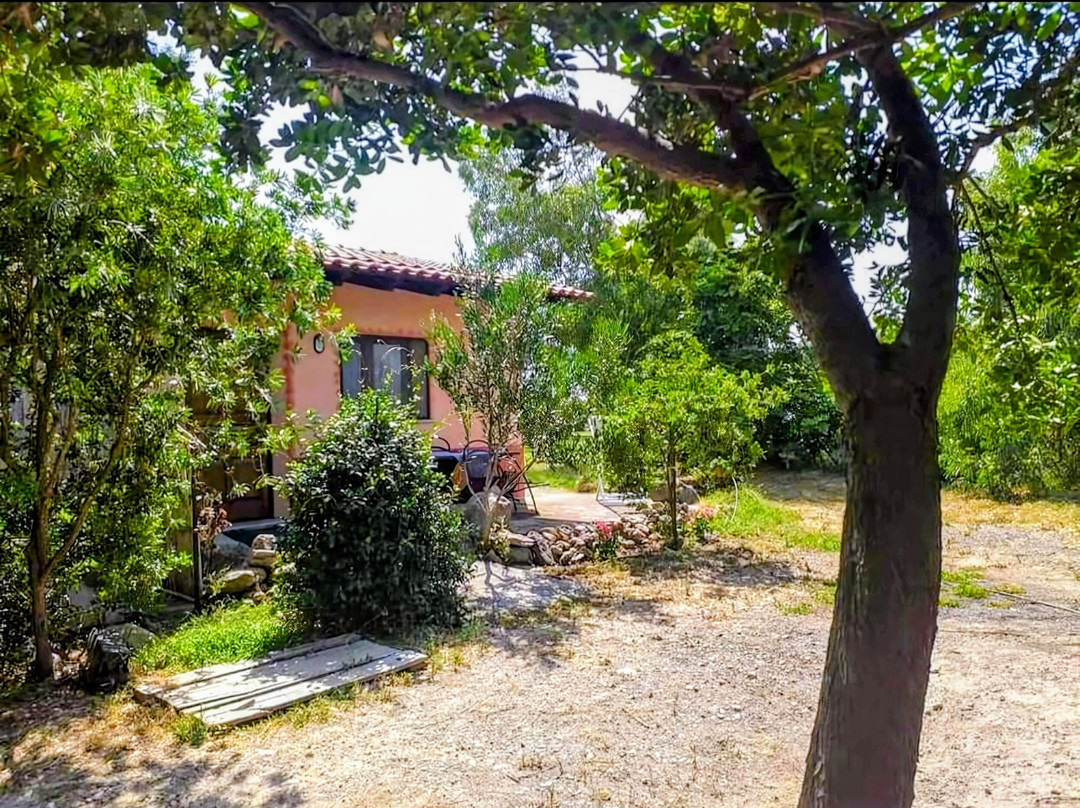 Casa Sa Stella e Monti主图