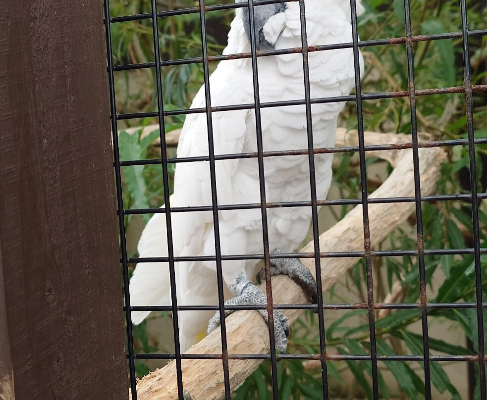 Filey Zoo-Filey必去景点