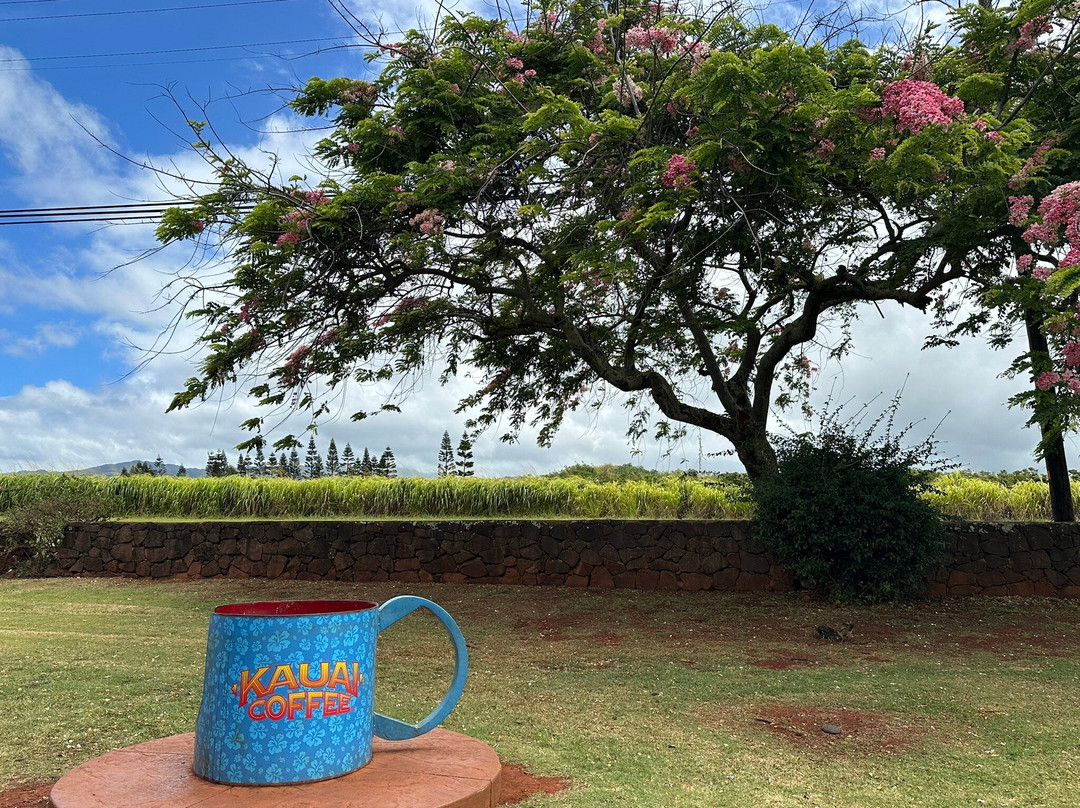 Kauai Coffee Company-卡拉西奥必去景点
