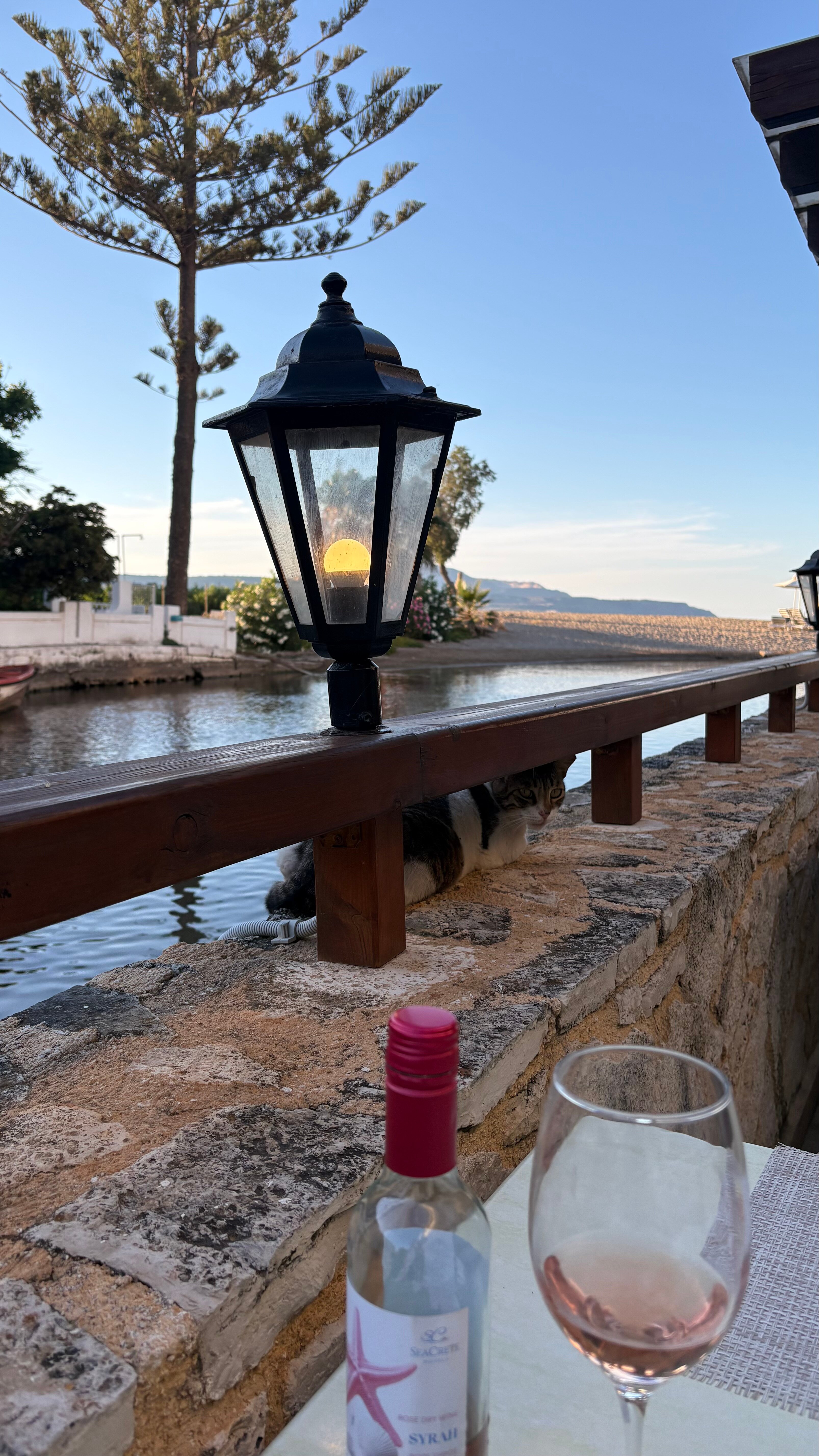 Kalyves Beach Hotel-旅行者