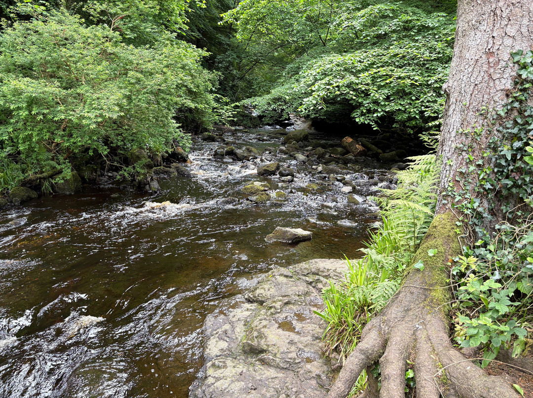 Glenariff Forest Park Caravan Park-Glenariff必去景点