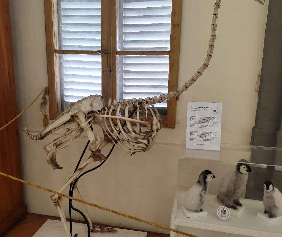 Museo di Storia Naturale dell'Accademia dei Fisiocritici-锡耶纳必去景点
