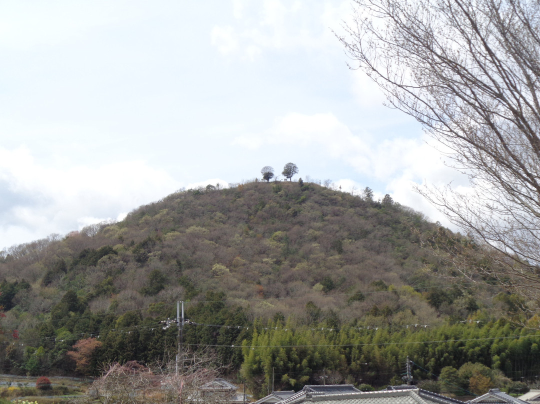 Kasugayama Castle Ruins-福崎町必去景点