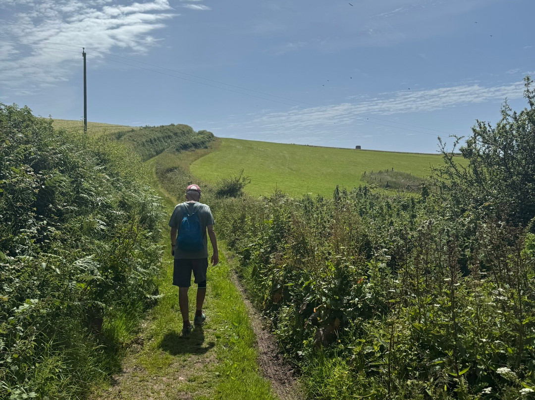 Kingswear & Brownstone Battery Walk-Kingswear必去景点