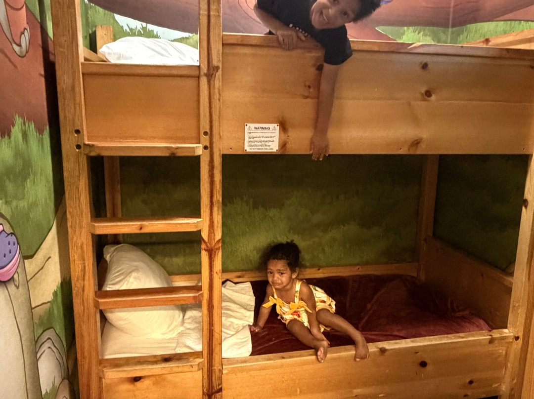 Great Wolf Lodge Williamsburg-威廉斯堡必去景点