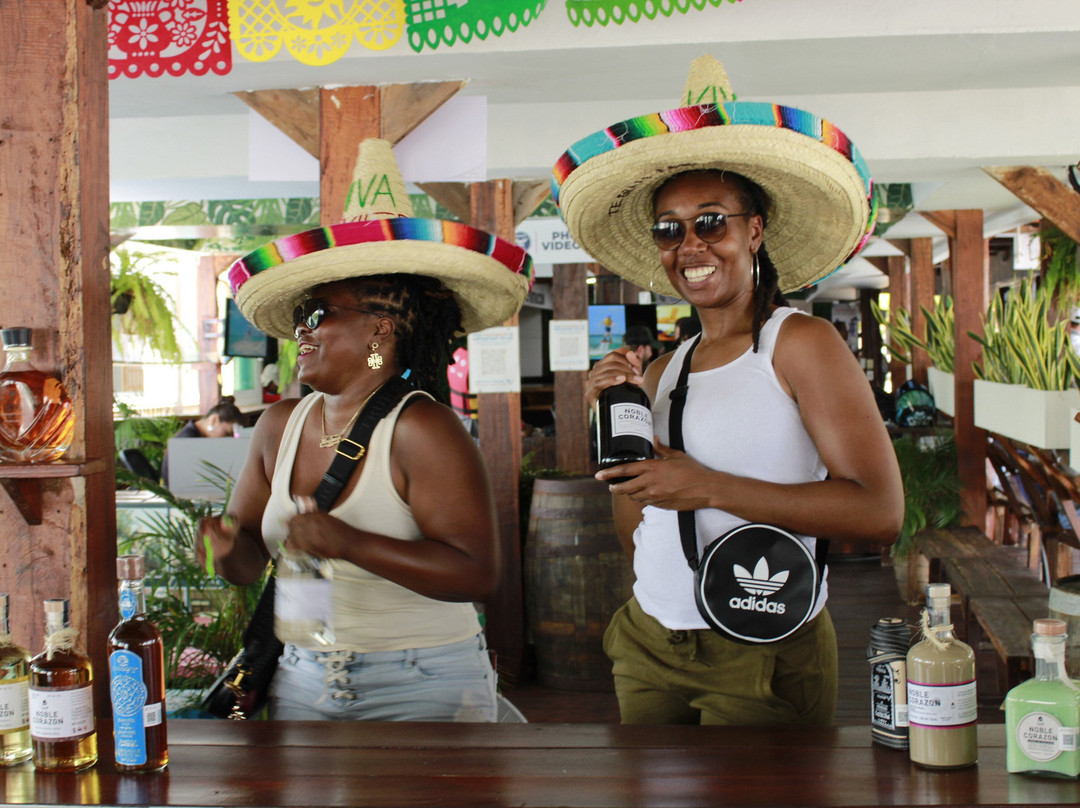 Cancun Tequila Tasting-坎昆必去景点