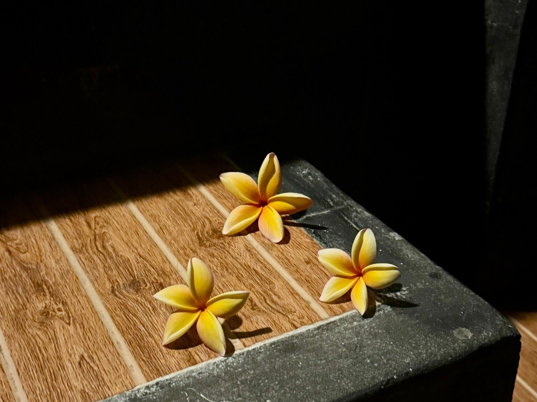 奢华潘达瓦海滩温泉度假村主图