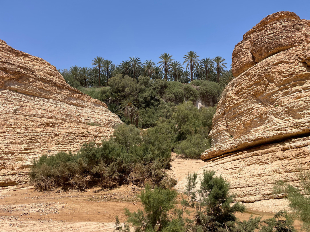 Mides Valley-Tozeur Governorate必去景点