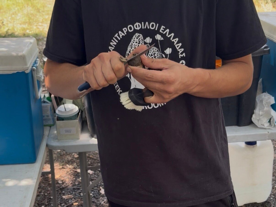 Truffle Hunting-卡兰巴卡必去景点