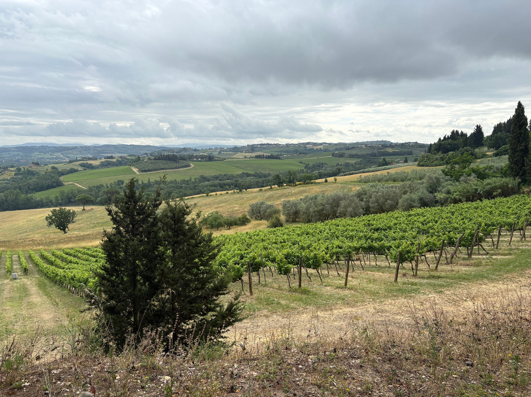 Toscana by Bike-蒙特斯佩托利必去景点