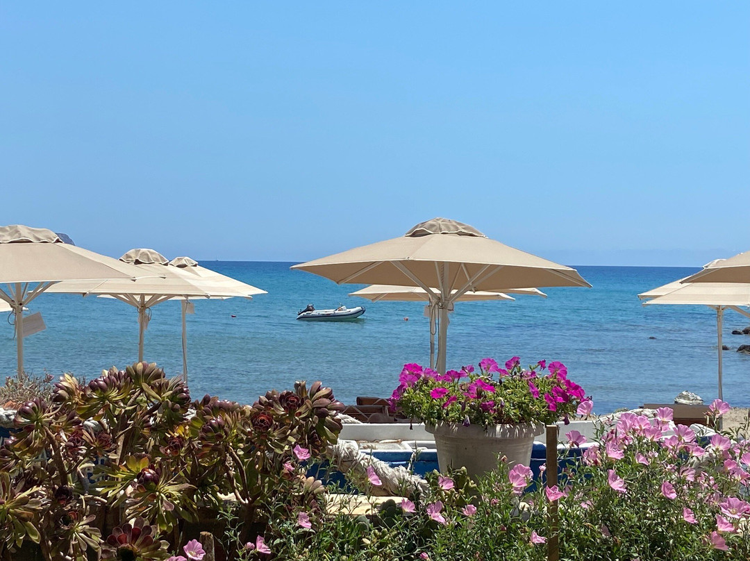 Taverna Maria