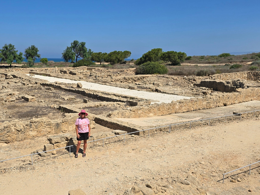 Kato Paphos Archaeological Park-帕福斯必去景点