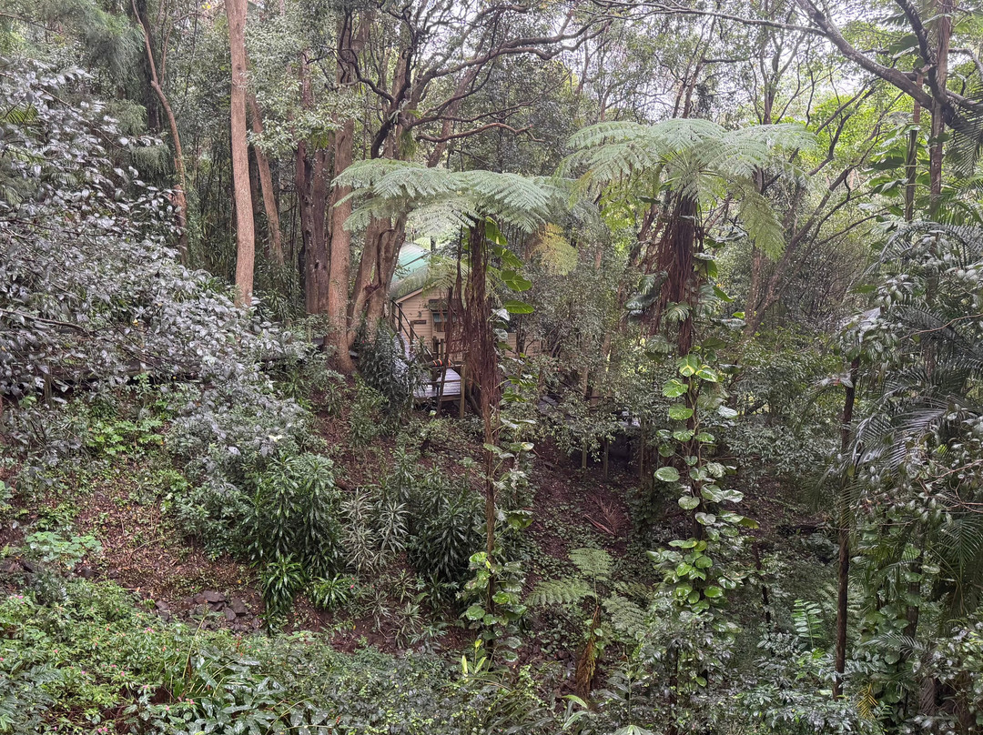蒙特维尔瀑布山林小屋主图