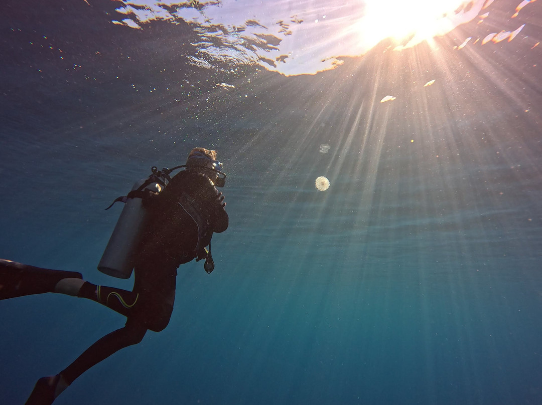 Scubatek Tahiti-阿鲁埃必去景点
