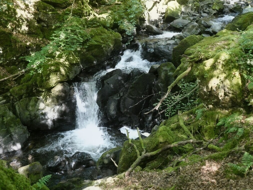 Torrent Walk-Dolgellau必去景点