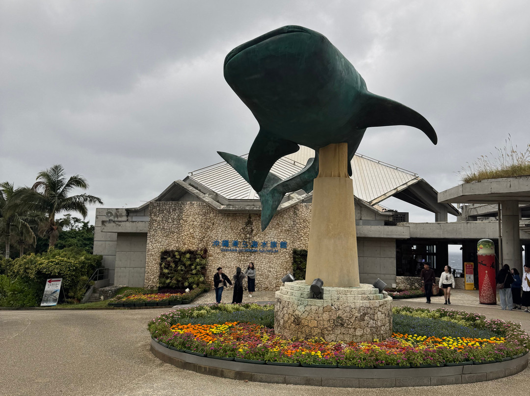 冲绳美之海水族馆-本部町必去景点