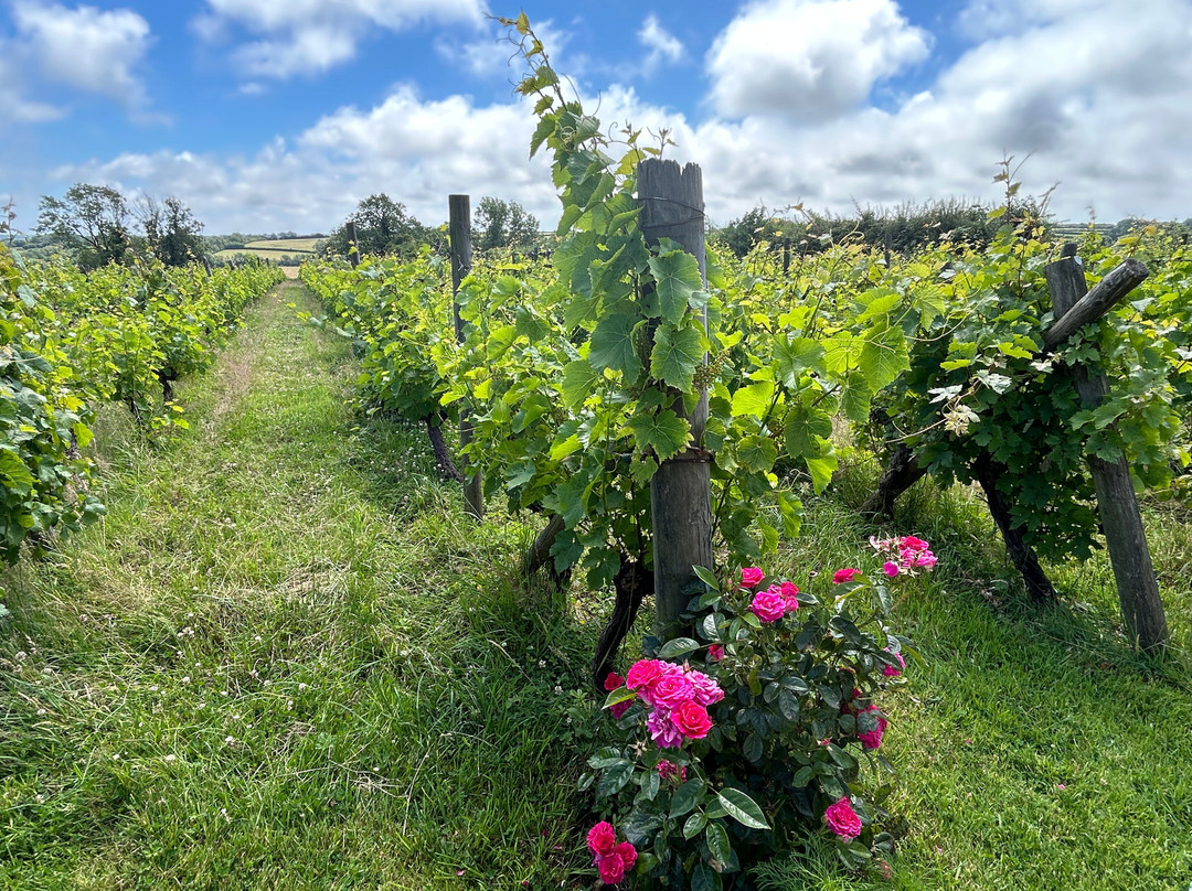 Glyndwr Vineyard-卡迪夫必去景点