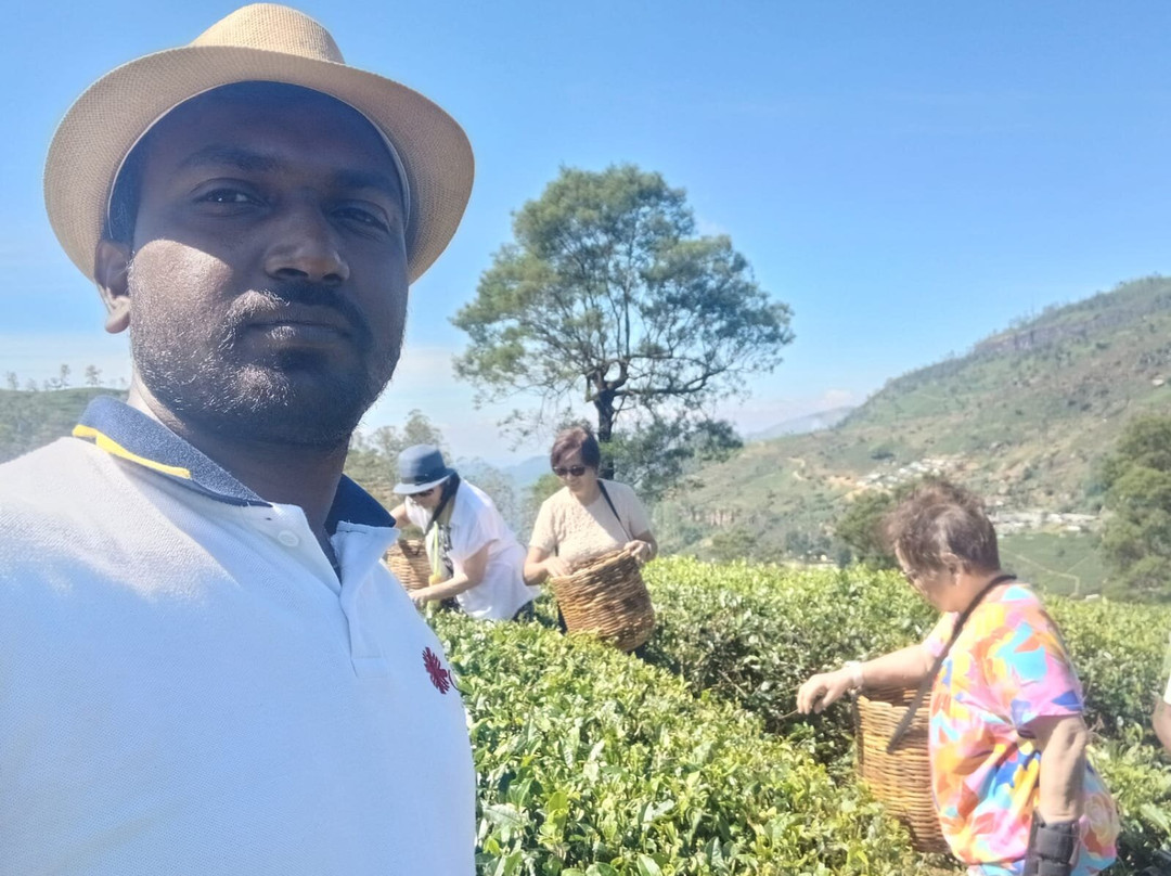 Damro Labookellie Tea Centre and Tea Garden-奴娃拉伊利雅必去景点