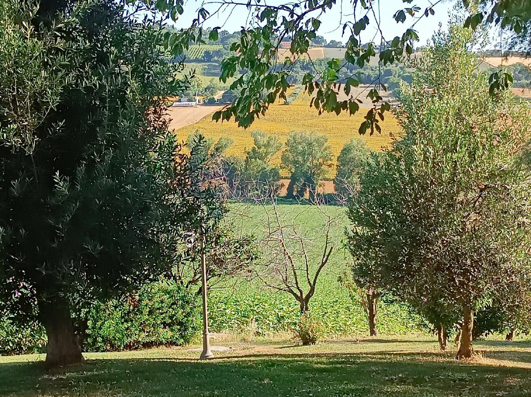 Agriturismo Le Bucoliche主图