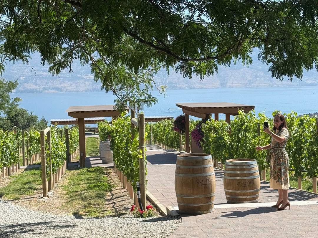 Quails' Gate Winery-西基隆拿必去景点