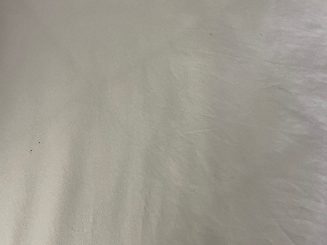绍姆堡霍夫曼庄园舒适酒店主图