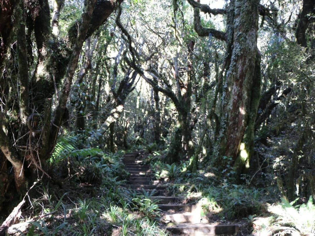 Pouakai Circuit-Egmont National Park必去景点