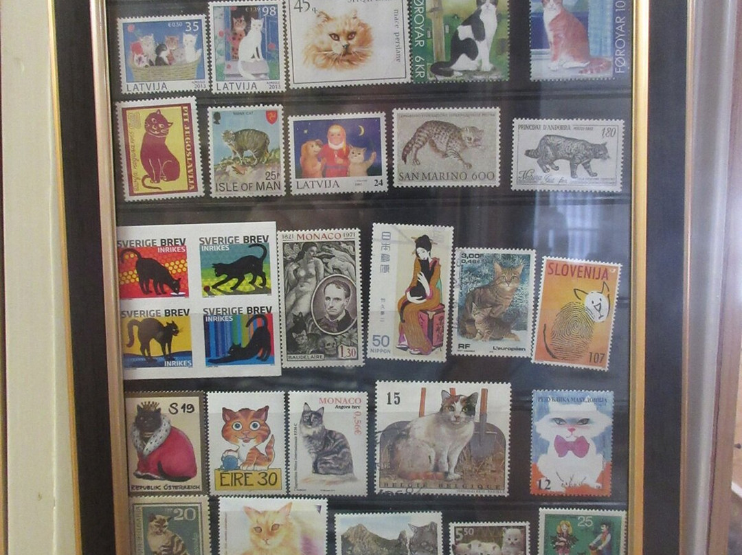 Cats Museum-科托尔必去景点