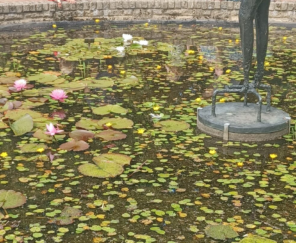爱丁堡皇家植物园-爱丁堡必去景点