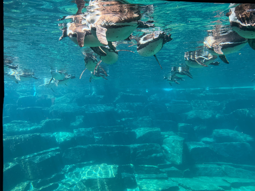 Parc Animalier et Botanique de Branféré-Le Guerno必去景点