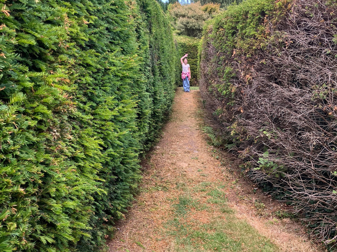 Conwy Valley Garden Maze-Dolgarrog必去景点