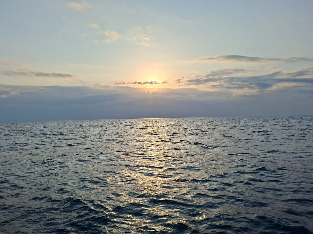 Leucate Évasion Marine-Port Leucate必去景点