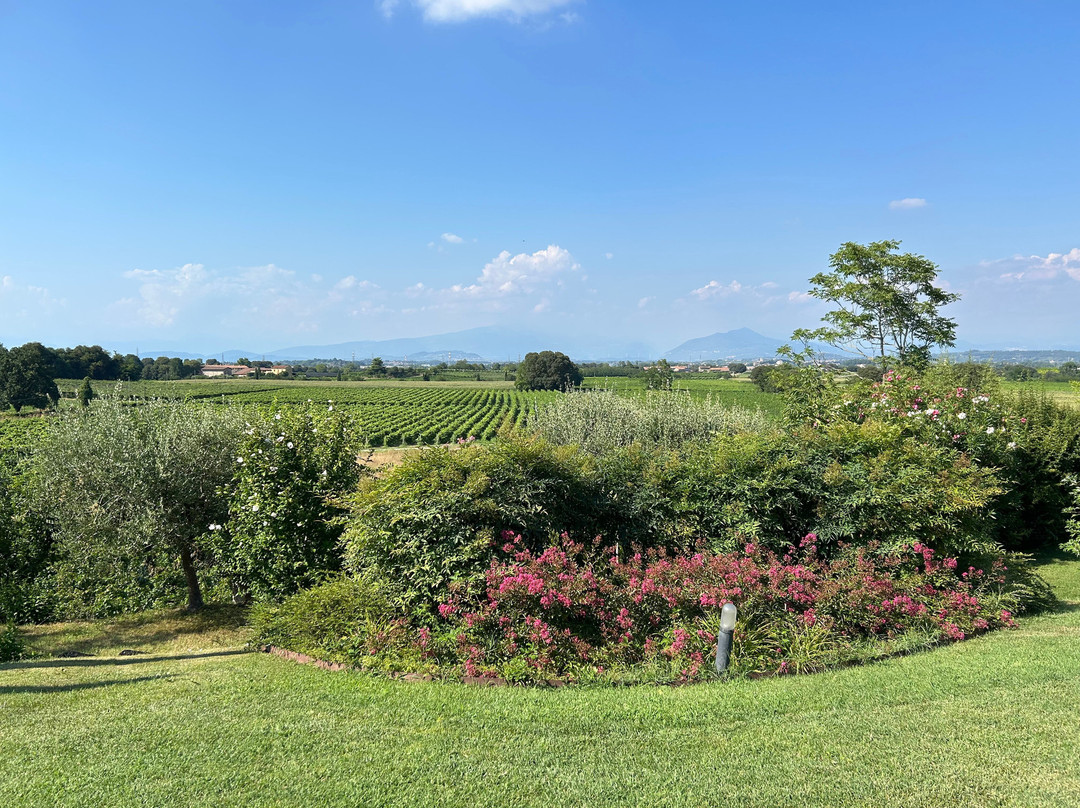 Agriturismo Corte Zenati主图