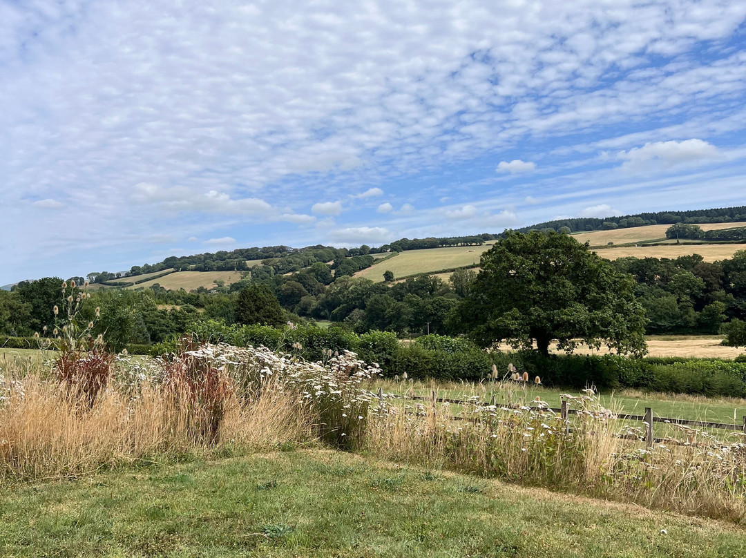 Alder Vineyard-Lewdown必去景点