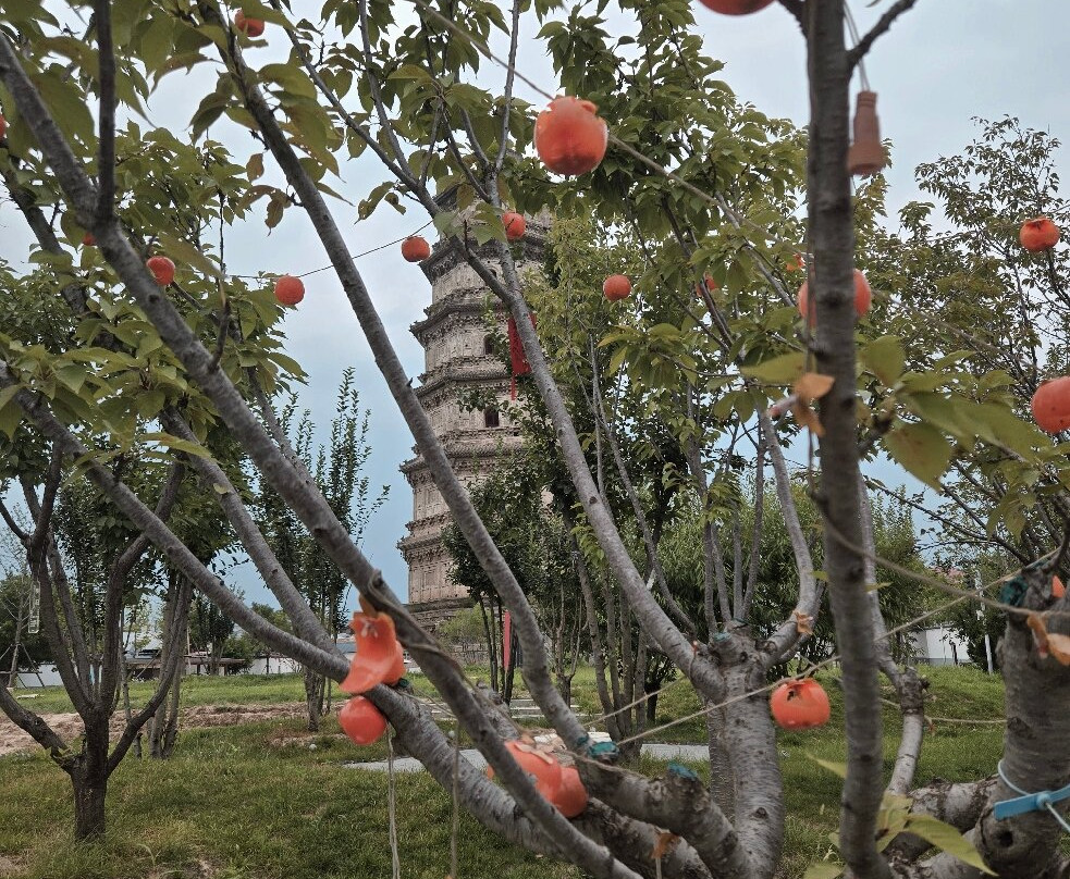 涿州双塔-涿州市必去景点