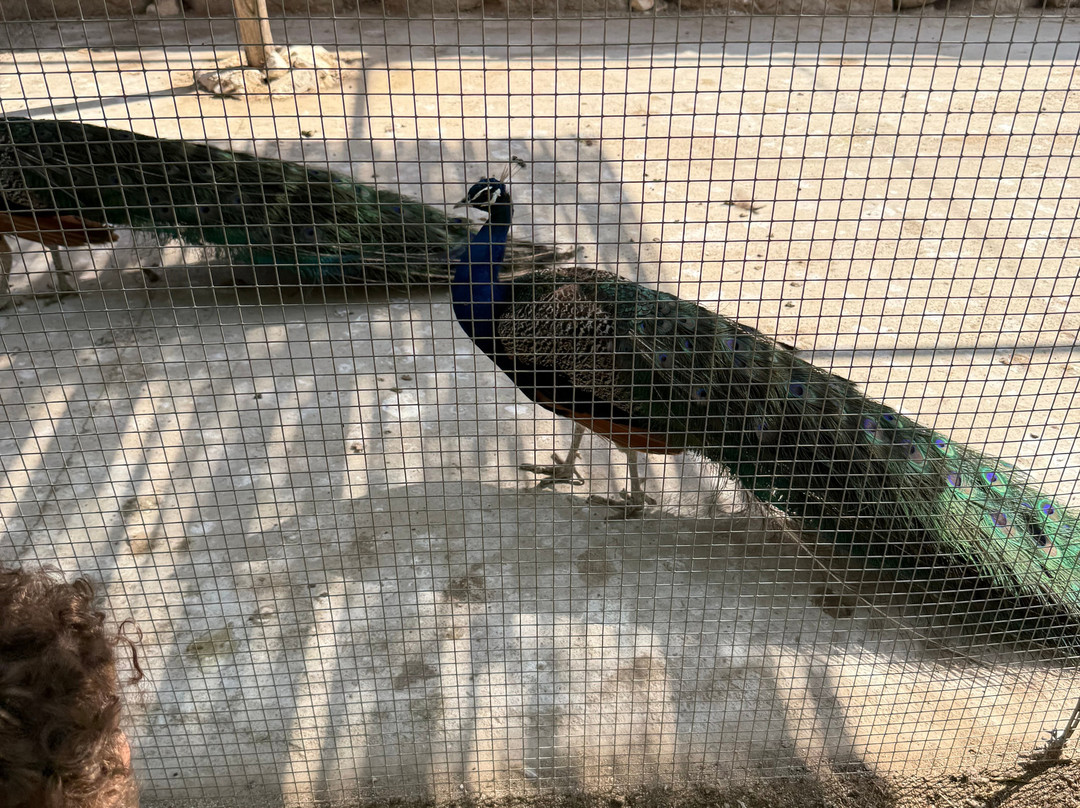 Parco Museo S'Abba Frisca-Dorgali必去景点