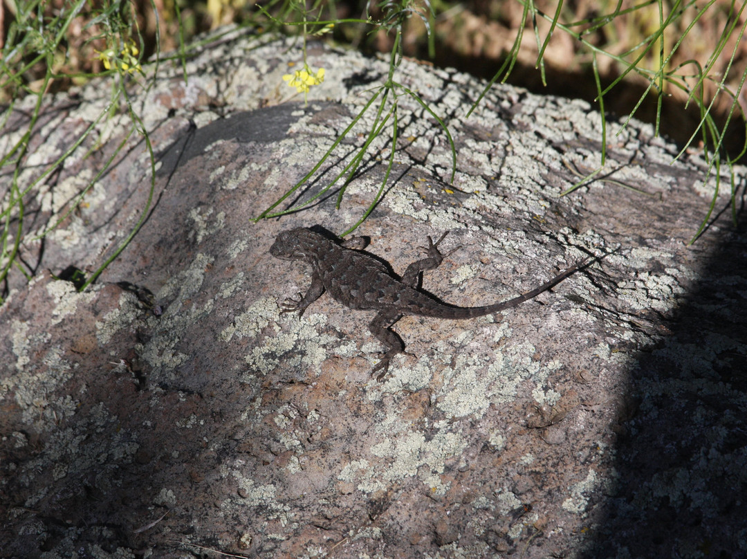 Lava Beds National Monument-Tulelake必去景点