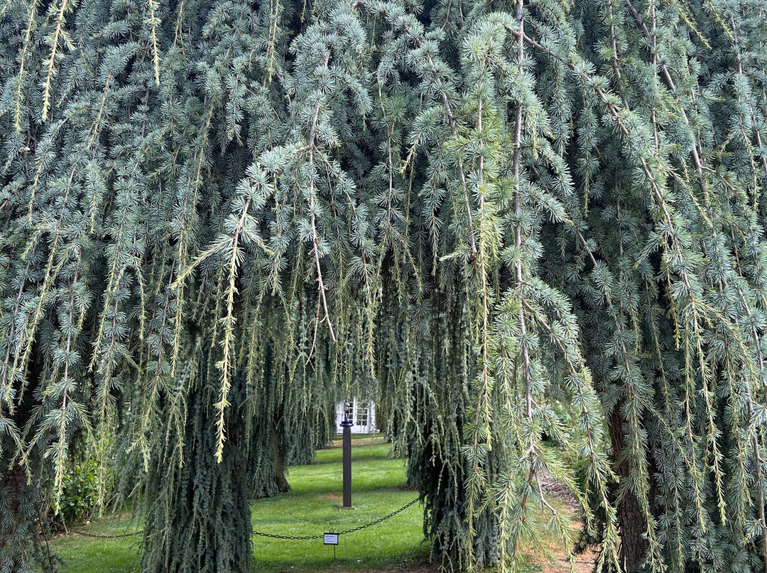 Eyrignac et ses Jardins-Salignac-Eyvigues必去景点