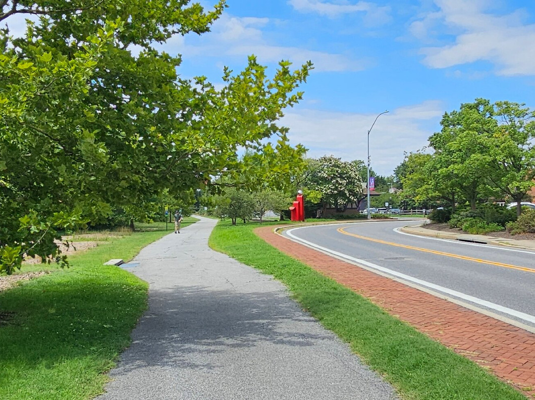 Chestertown Rail Trail (Wayne Gilchrest Trail)-Chestertown必去景点