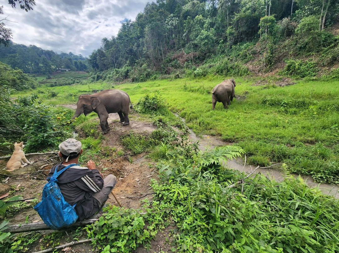 Hill Tribes Eco Lodges