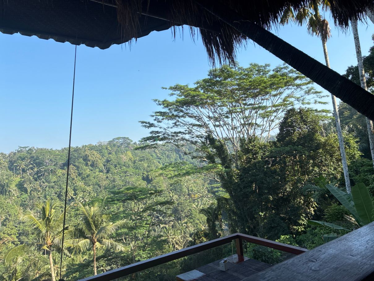 库普库普巴龙洛奇塔内特里Spa别墅度假村-旅行者