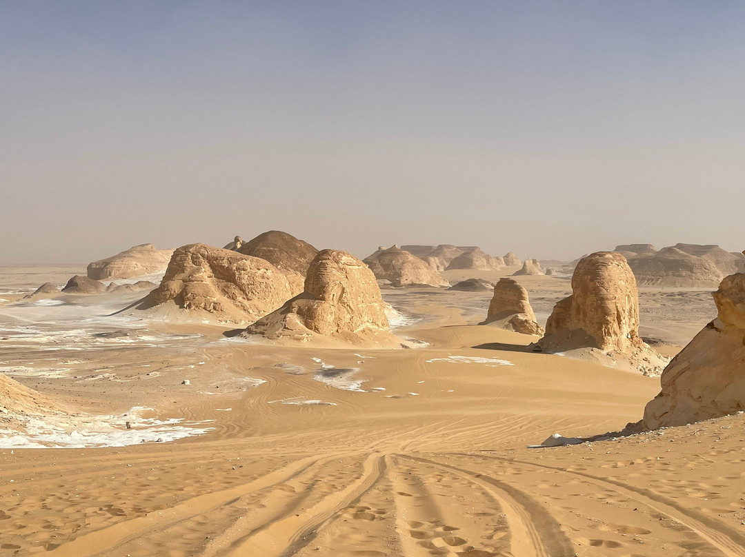 Bedouin Trails-吉萨必去景点