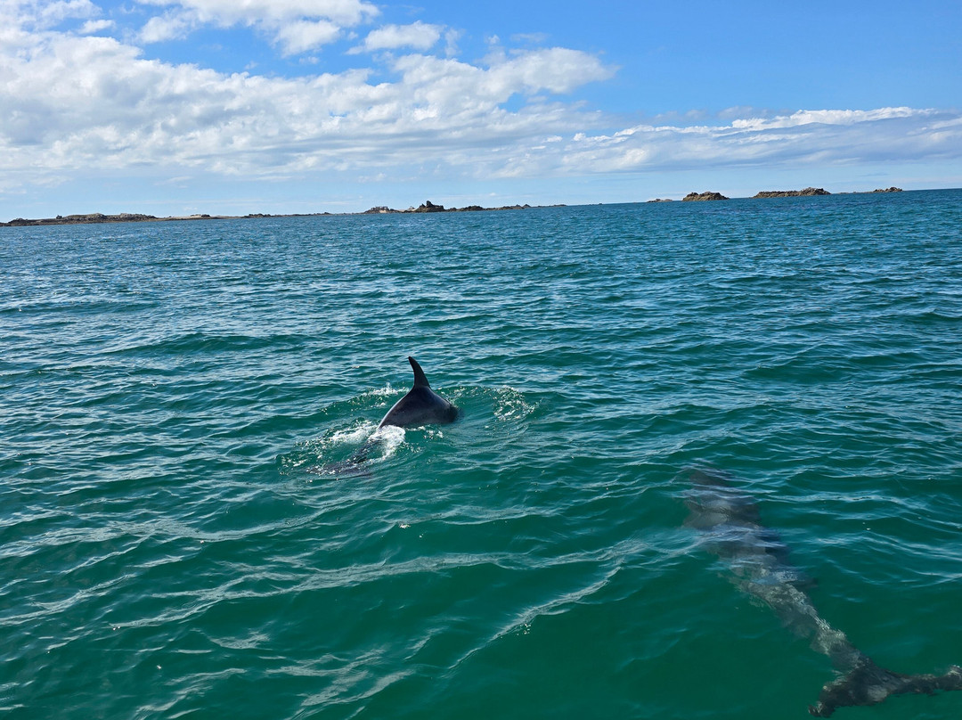 Island RIB Voyages-St Catherine's必去景点
