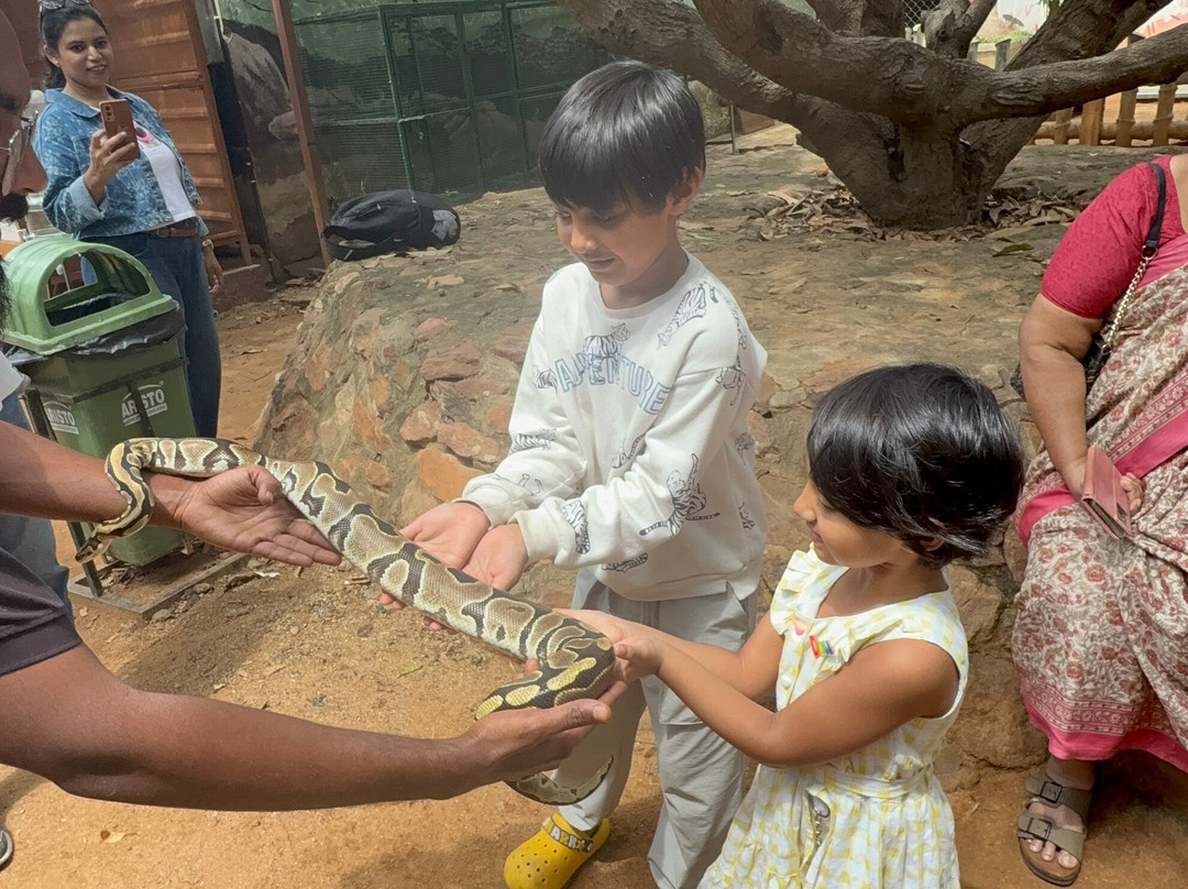 Prani, The Pet Sanctuary-班加罗尔必去景点