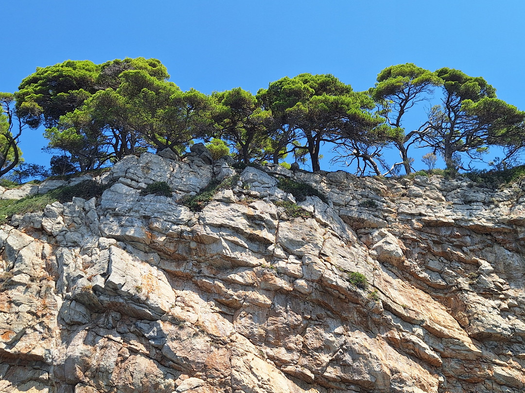 Galeb Boat Tours-Kolocep Island必去景点