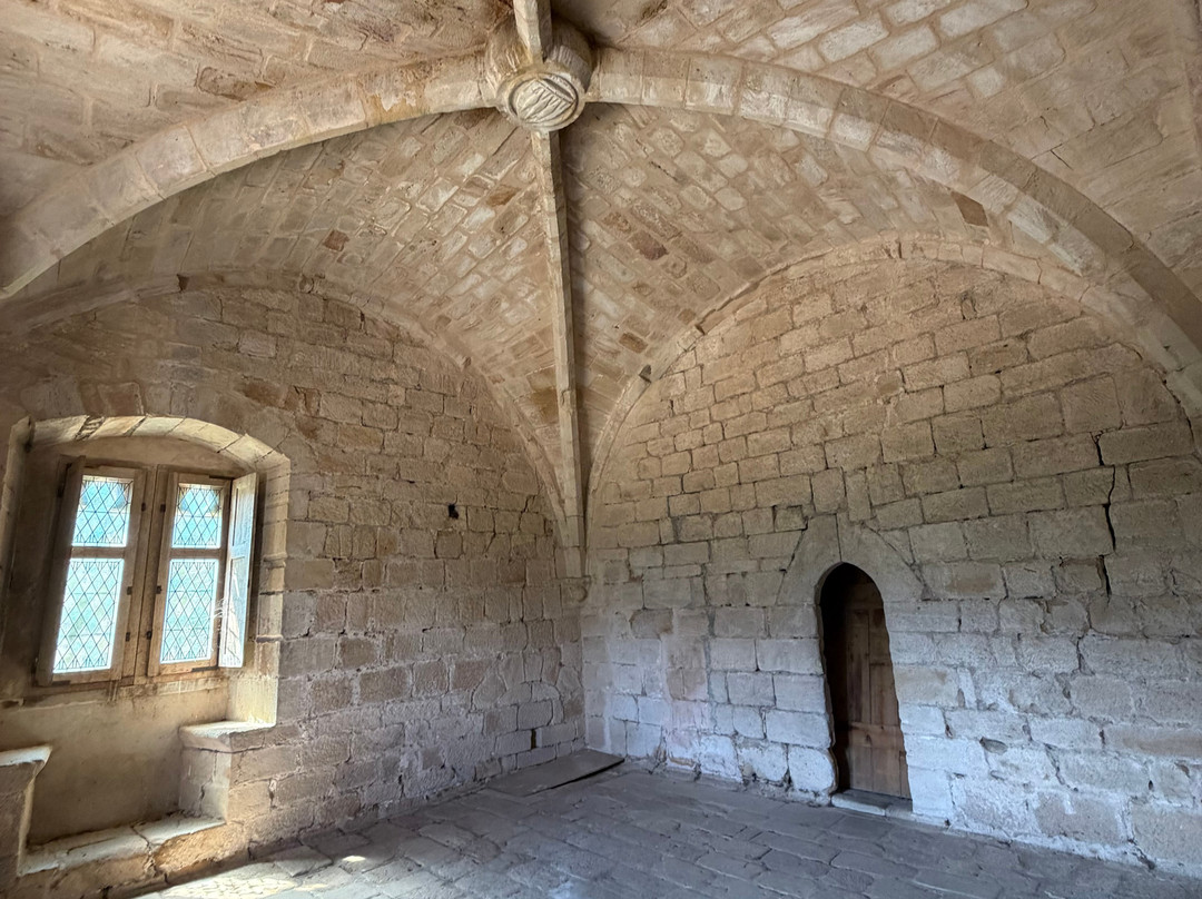 Chateau d'Arques-Arques必去景点