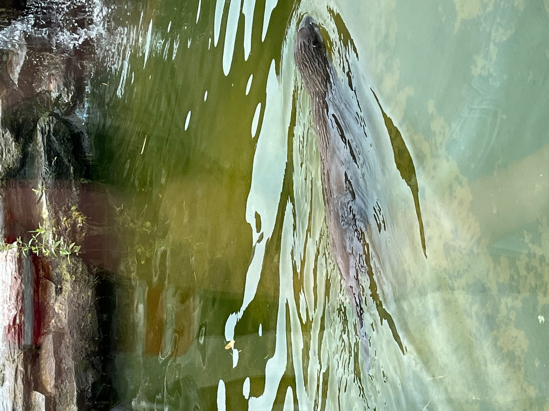 WWT Martin Mere Wetland Centre-Burscough必去景点