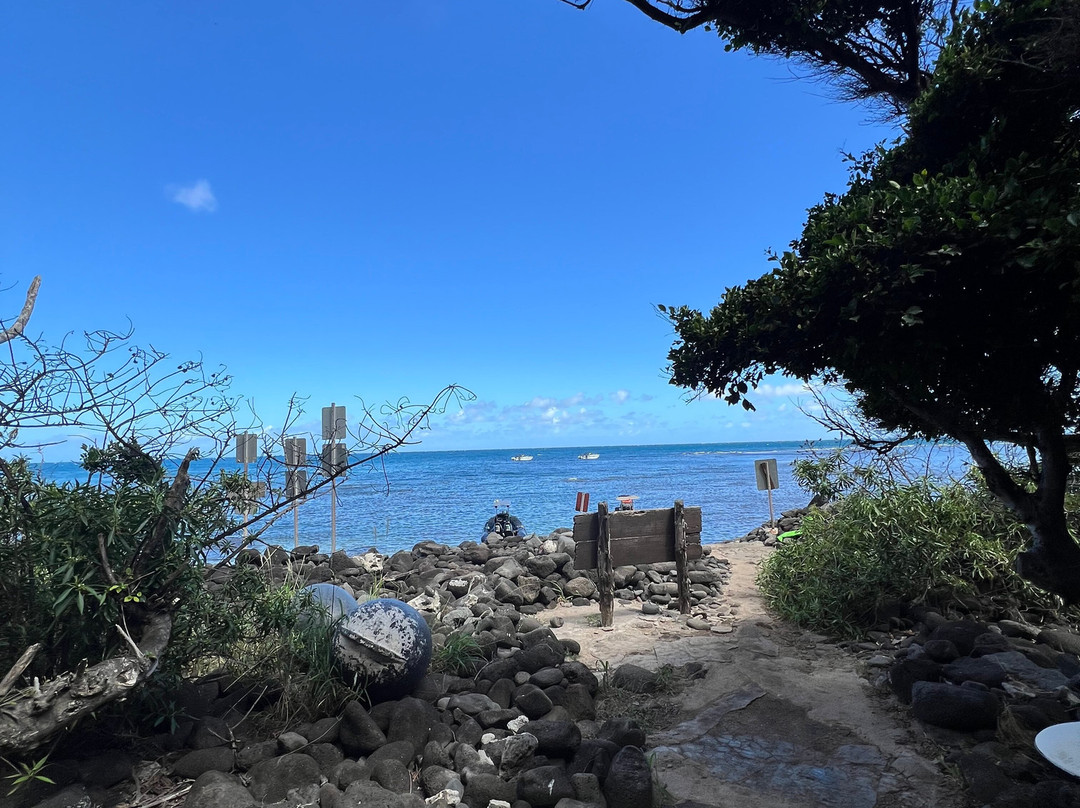 Blue Ocean Adventure Tours-科卡哈必去景点